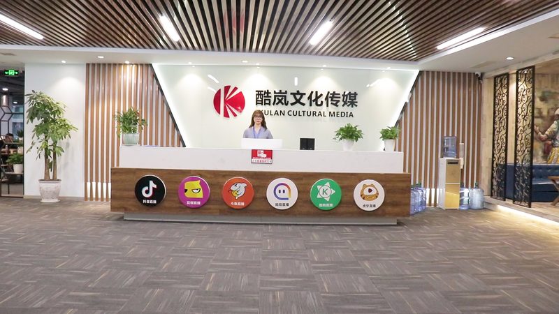 宣传片脚本与分镜脚本的差异解析