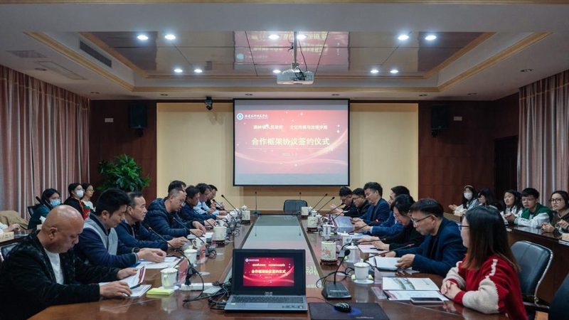 MG动画素材：揭秘参数与规格背后的奥秘**